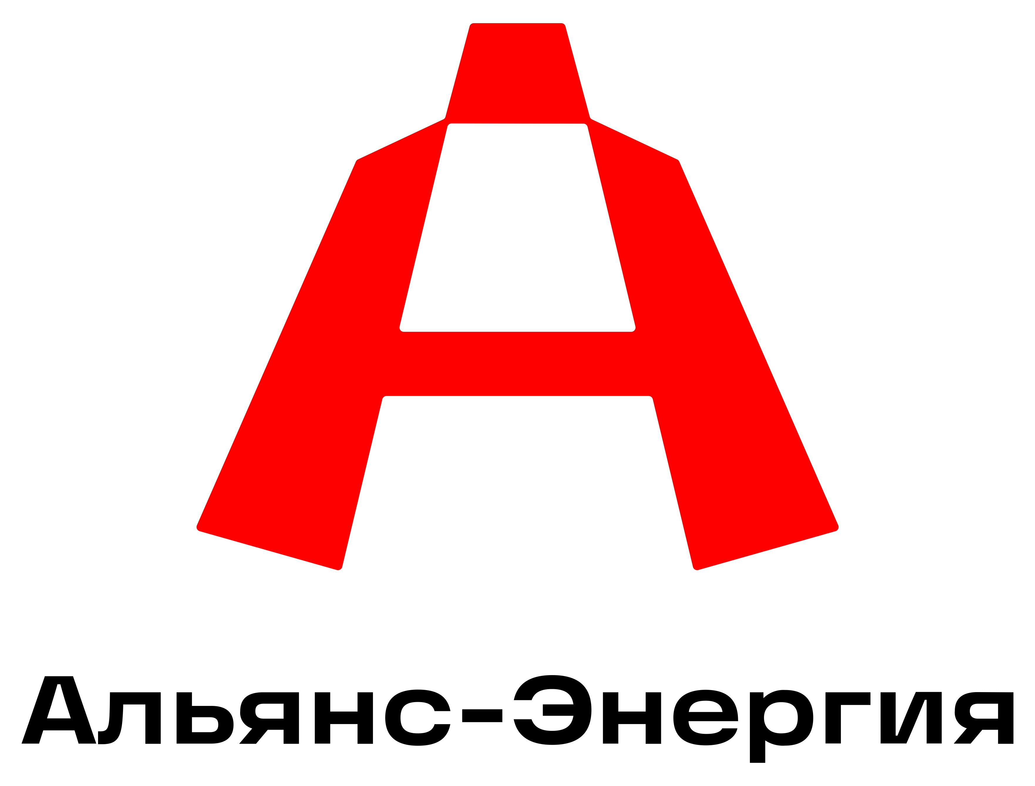 ООО «АЛЬЯНС-ЭНЕРГИЯ»